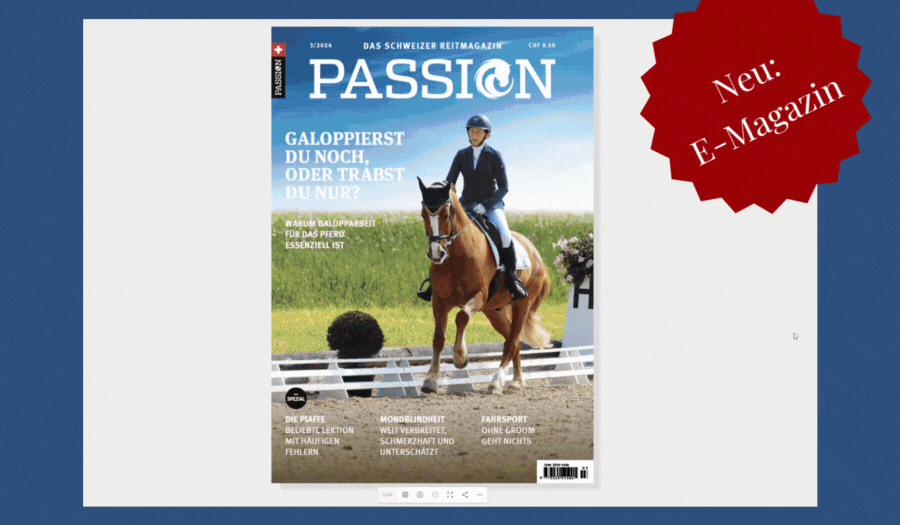 E-Magazin