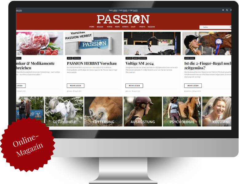 PassionMagazin Screen
